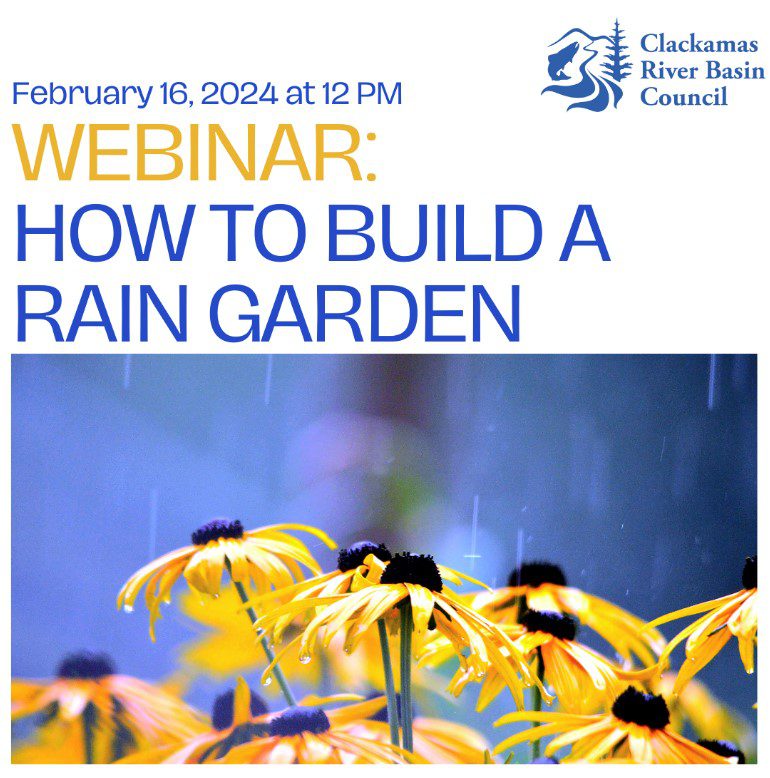 Webinar: How to Build a Rain Garden with CRBC