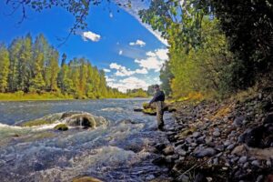 Clackamas River summer steelhead & salmon fishing