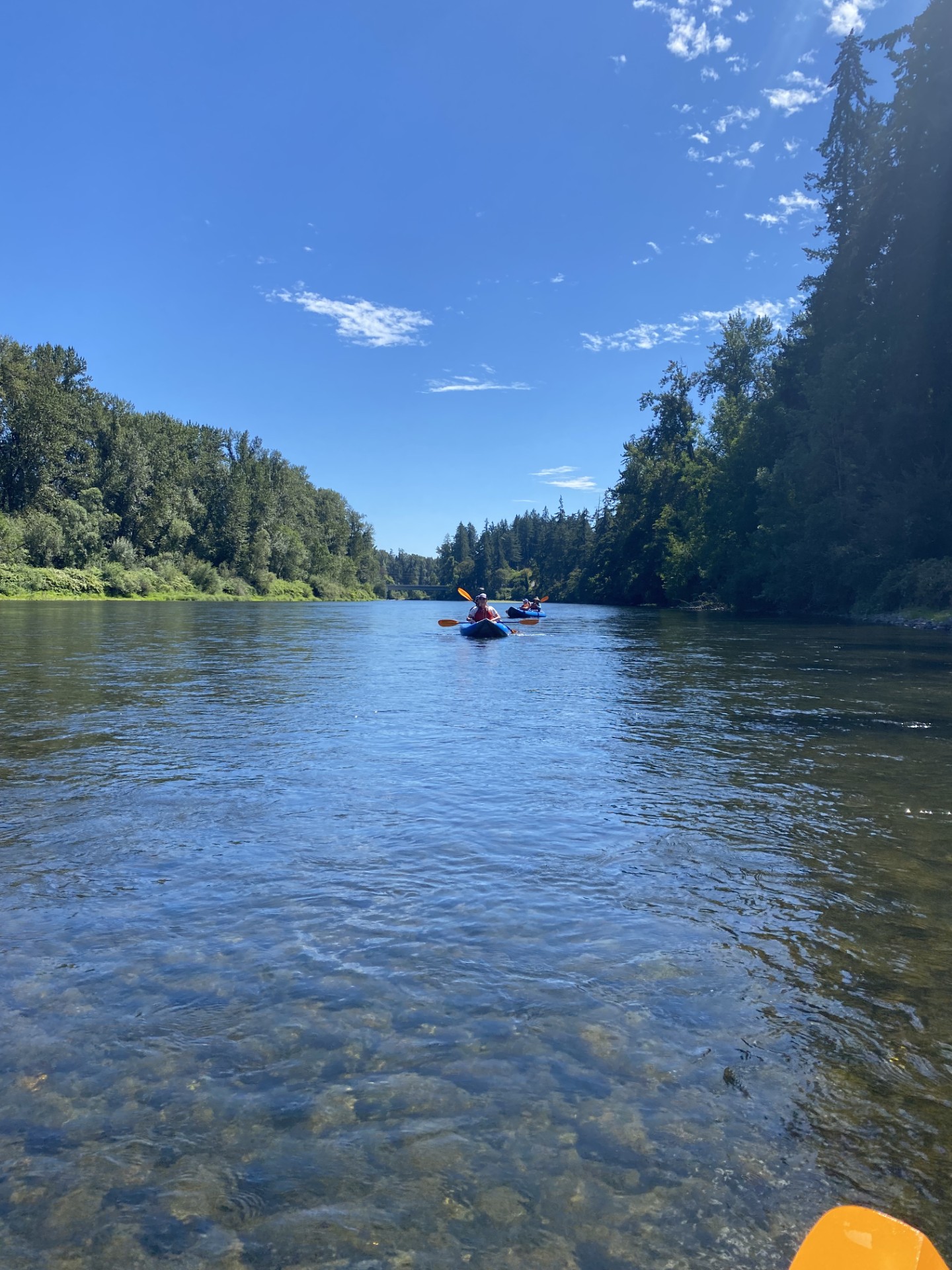 Image: Kayaking Riverside to Clackamette in summer.