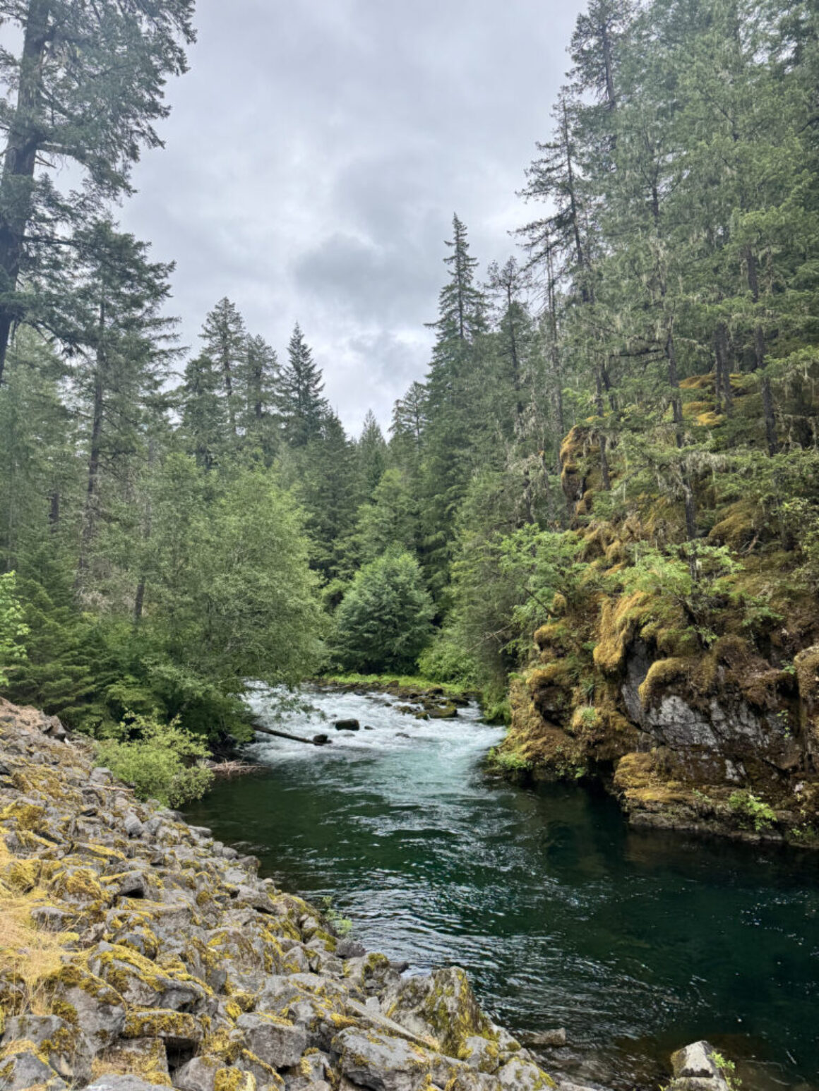 Love the Clackamas River, Take Care of It
